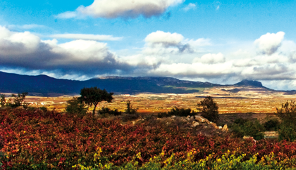 Vista de la Sierra de Cantabria