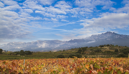 Vista de la Sierra de Cantabria